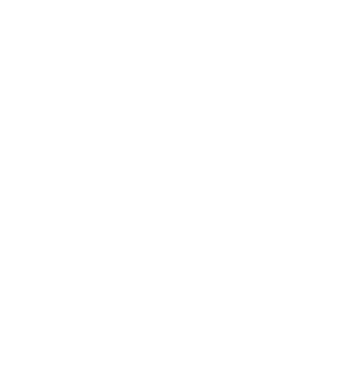 Turtle_logo